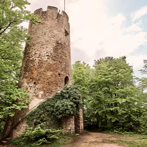 weinwandern gundelfingen